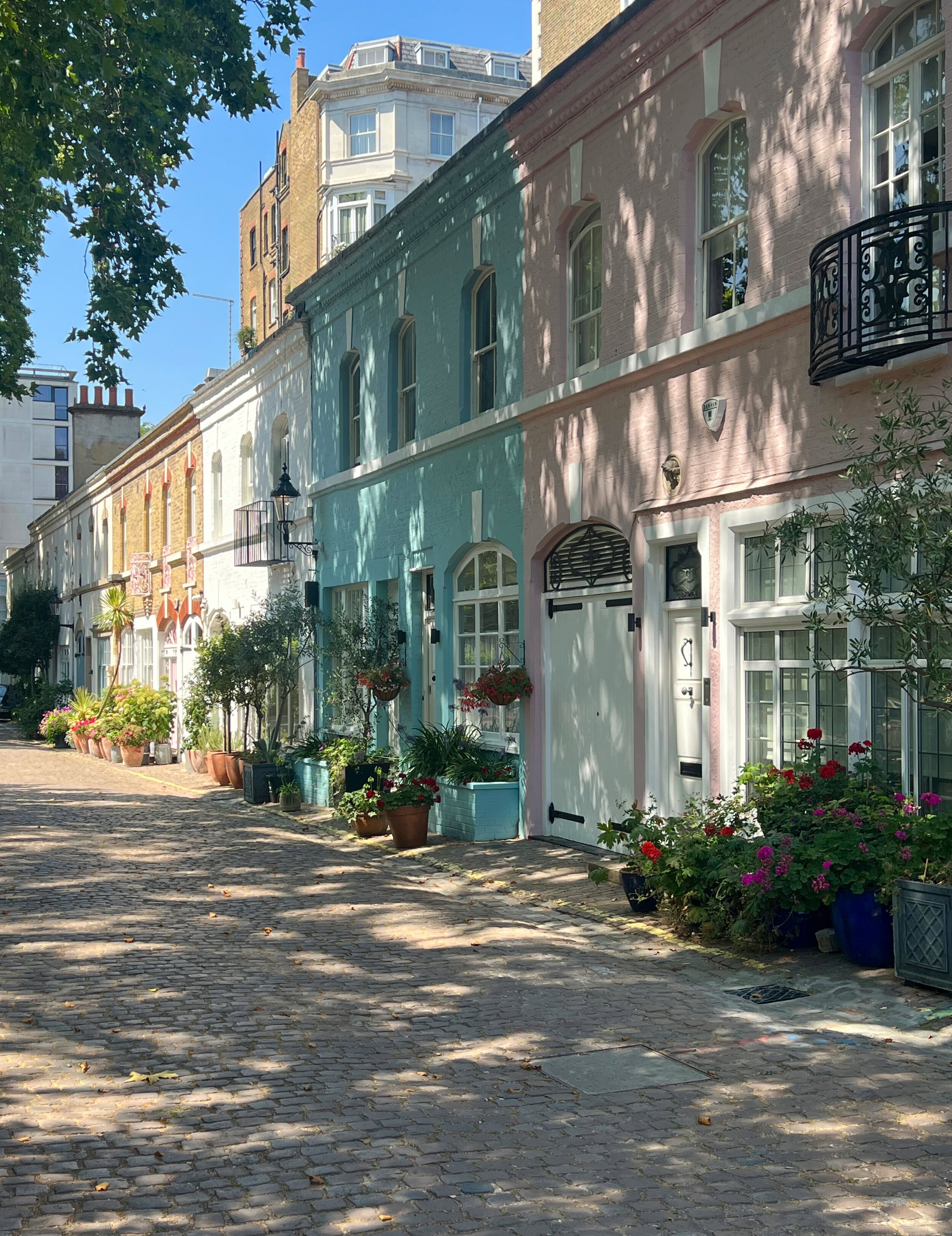 Ennismore Gardens Mews took part in MEws in Bloom 2026