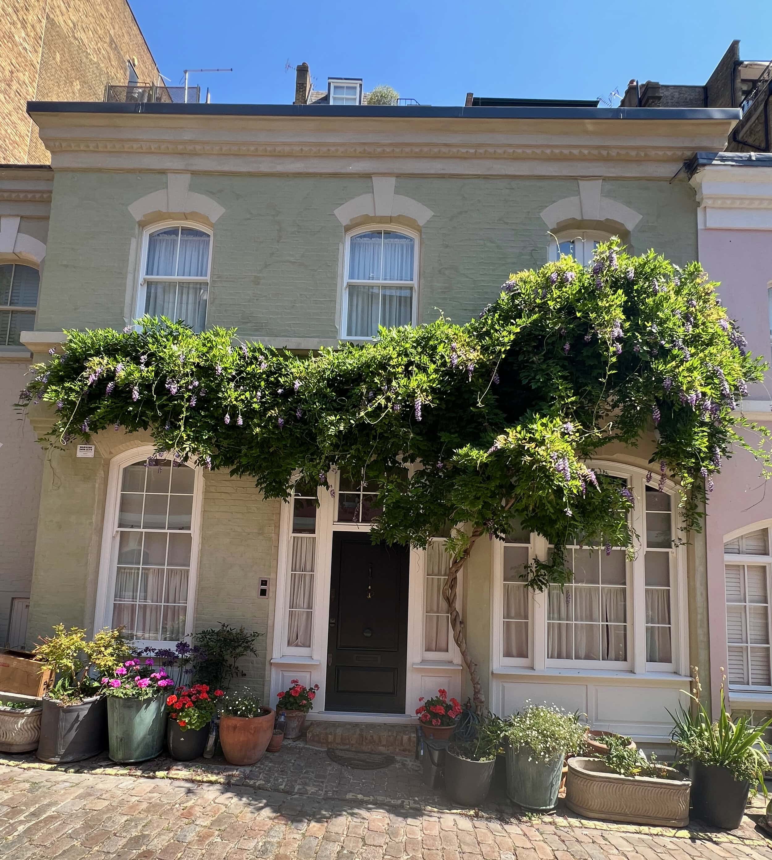 A mews house taking part in Mews in Bloom