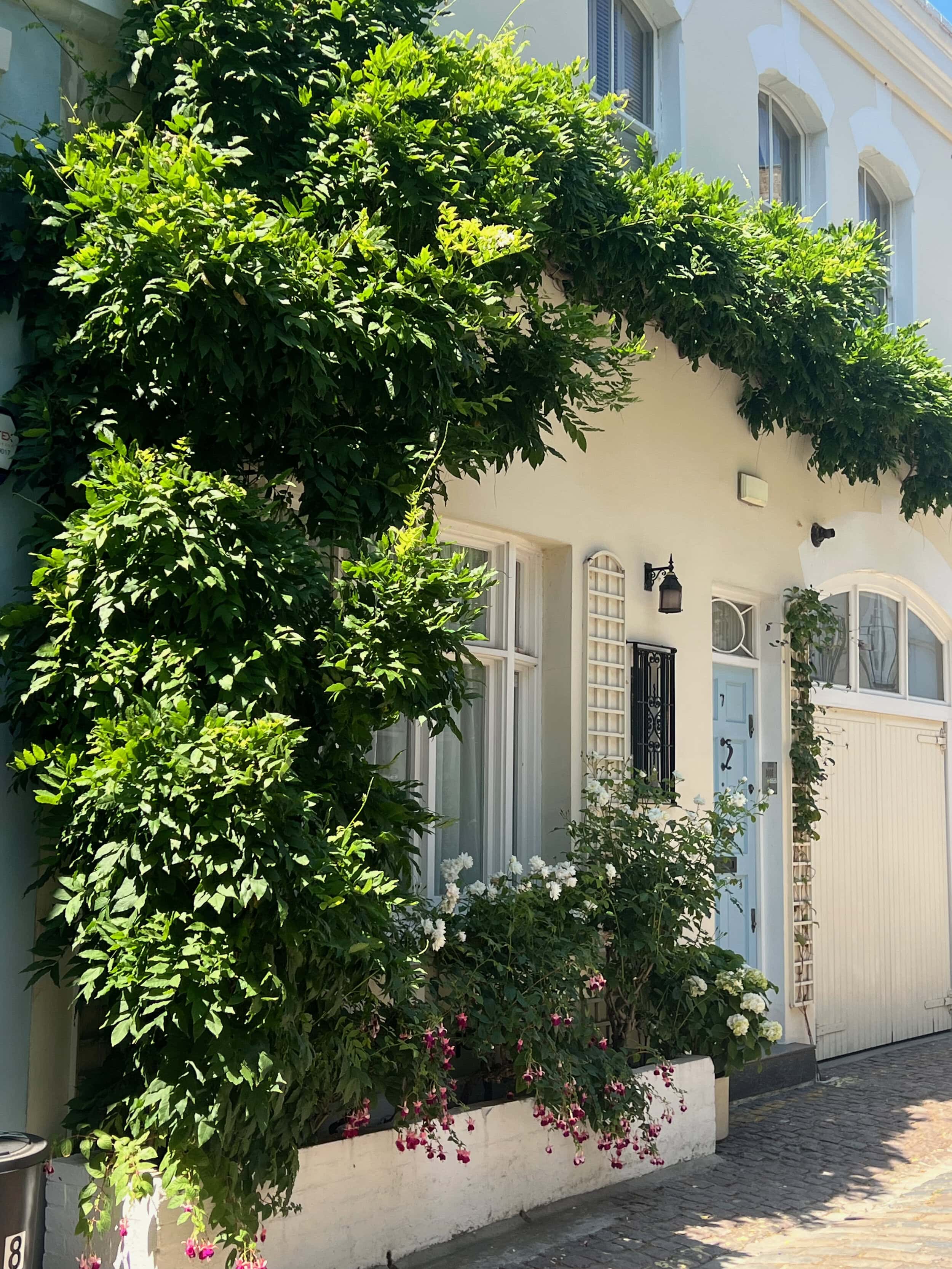 Ennismore Gardens Mews took part in Mews in Bloom 2026