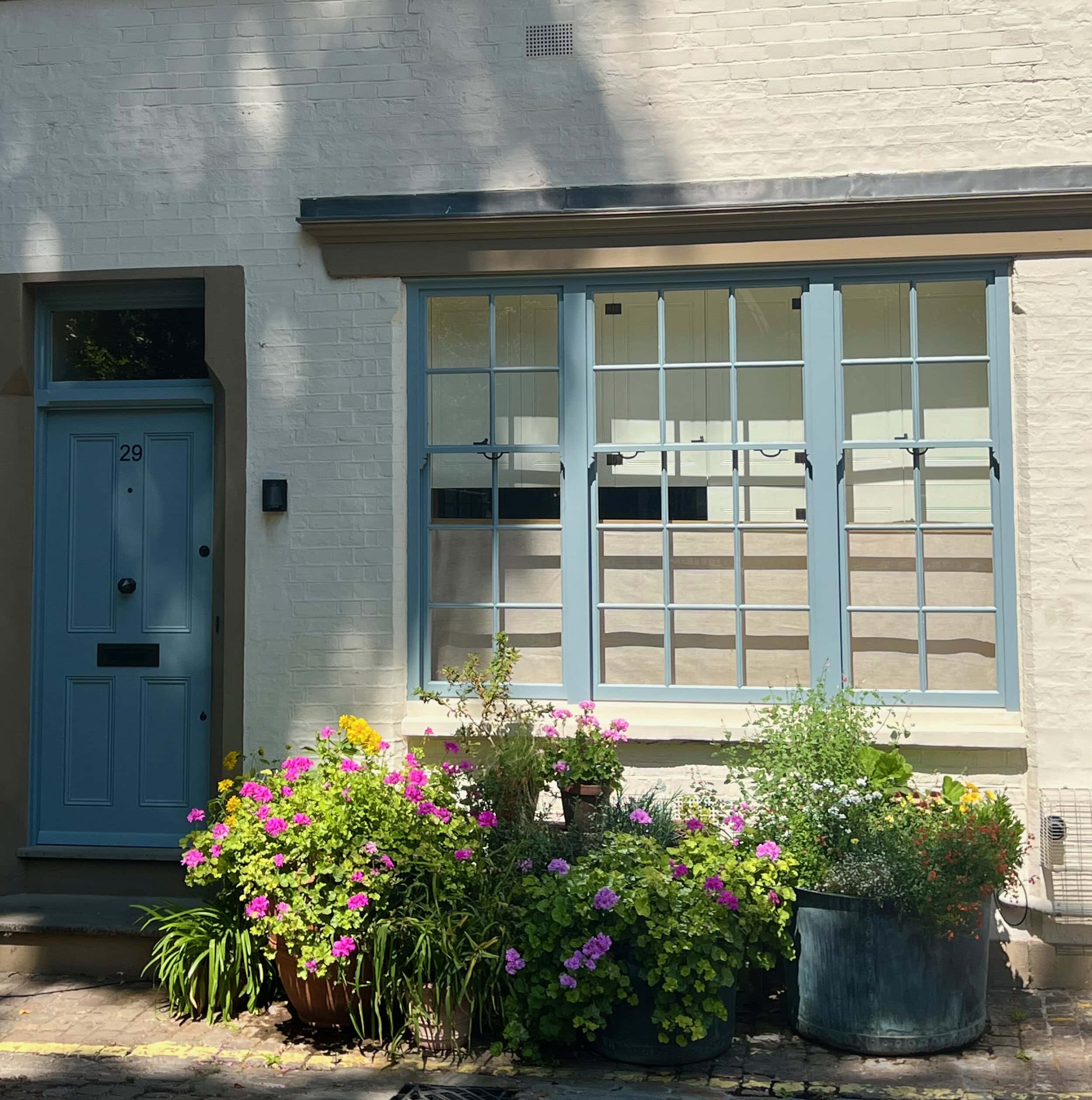 Mews in Bloom with a mews house showcasing plants