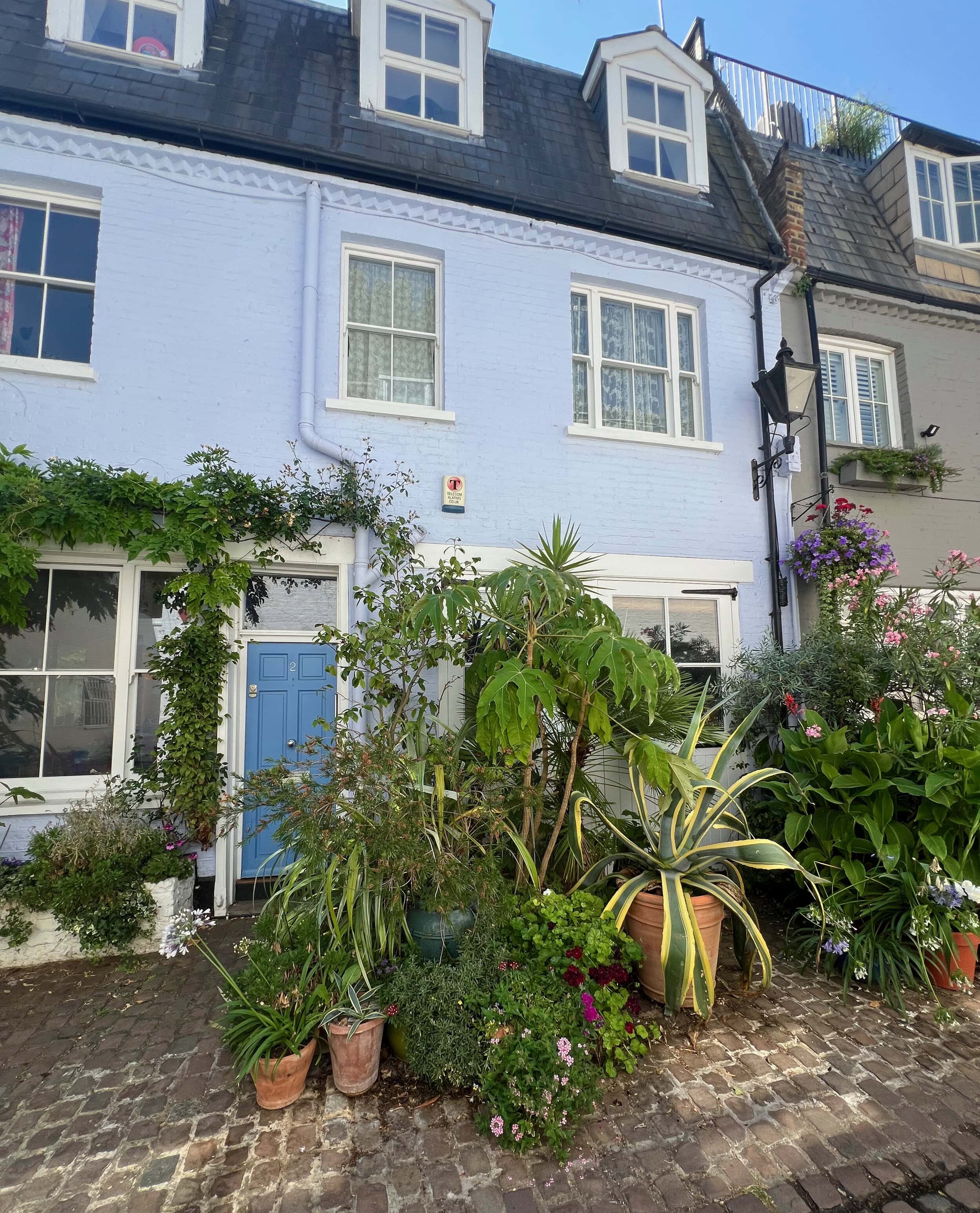 Fulton Mews, the overall winner of Mews in Bloom 2026