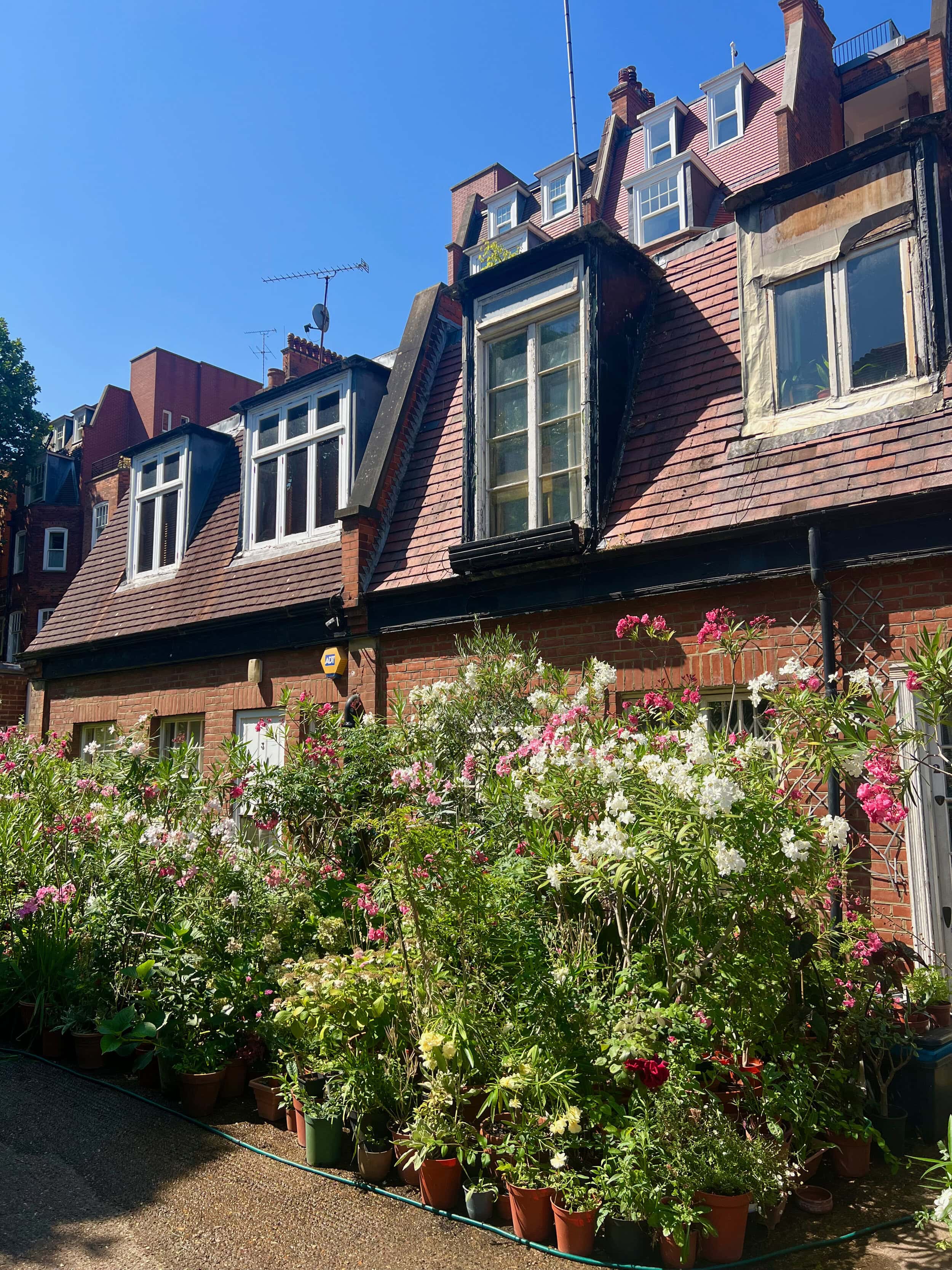 Orme Court Mews who took part in Mews in Bloom 2026