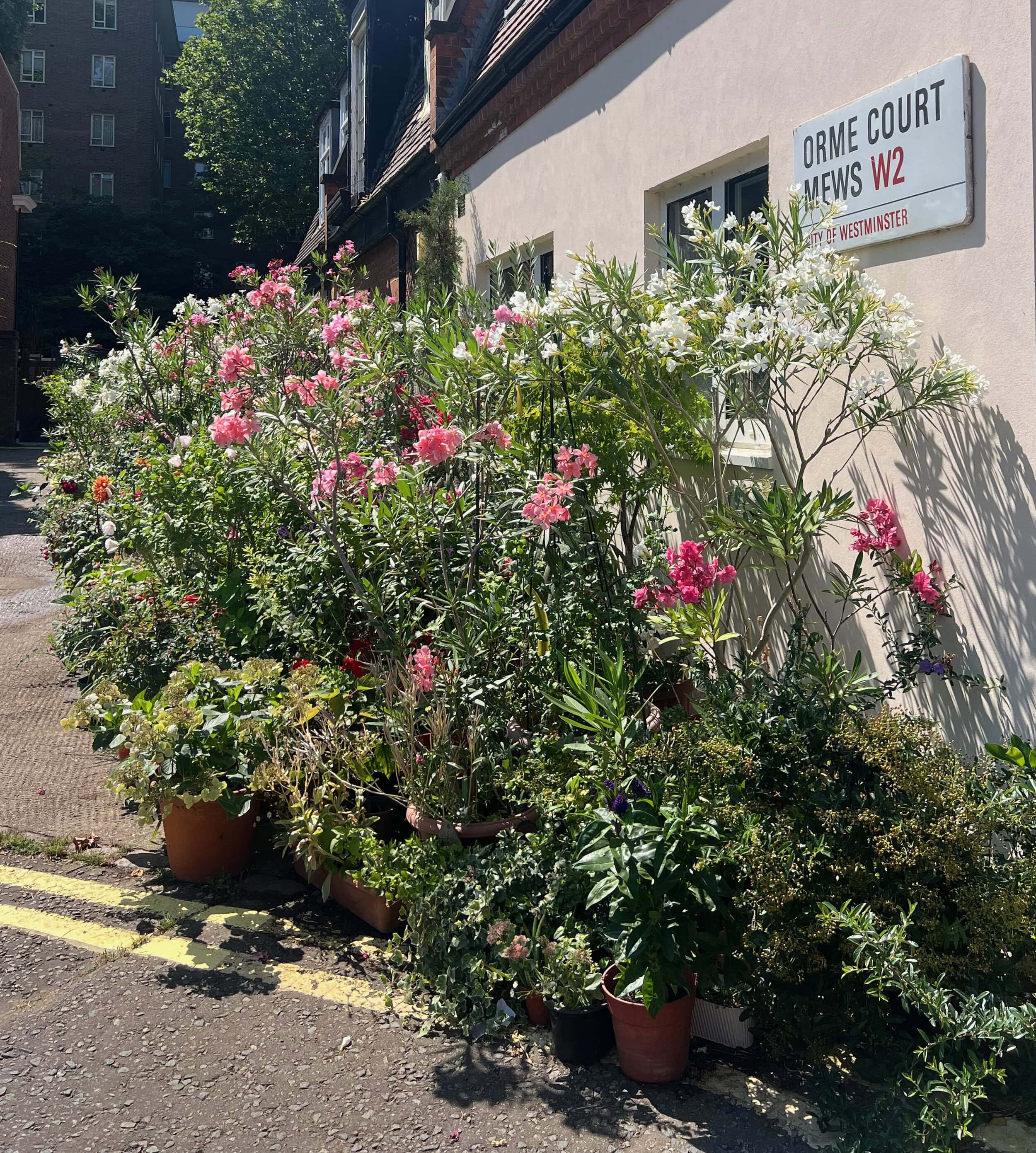 Orme Court Mews with its flowers