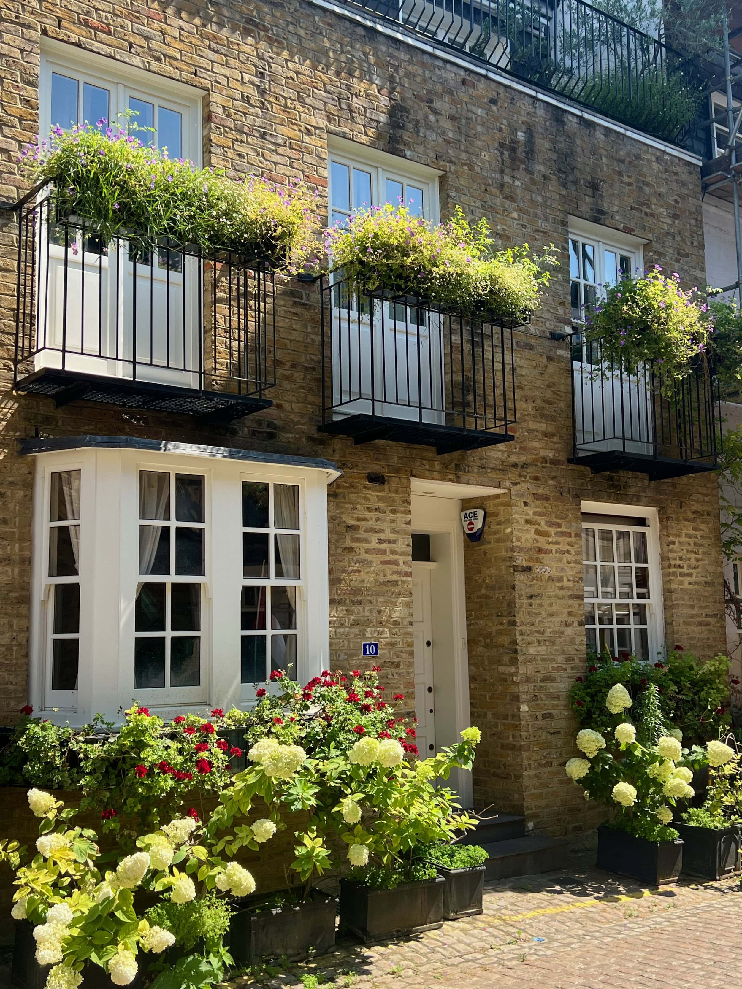 Rutland Mews South took part in Mews in Bloom 2026